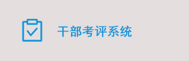 干部民主测评软件/领导班子测评软件/干部考评系统软件