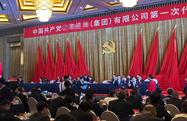 上海某集团公司党代会选举